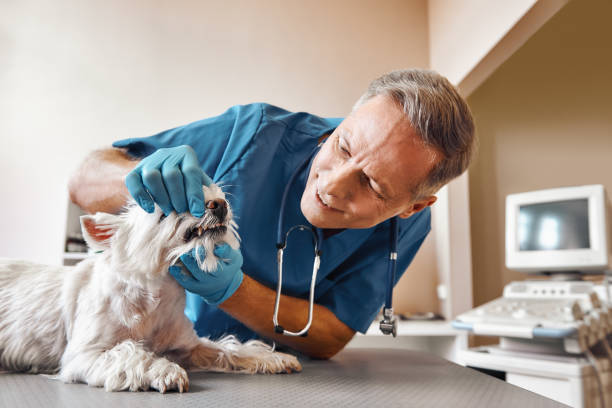 Best Emergency Tooth Extraction in Villisca, IA